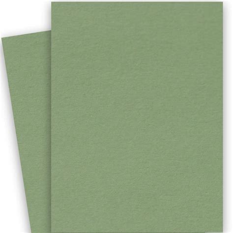Olive 26 X 40 Basis Paper 100 Per Package 216 Gsm 80lb Cover