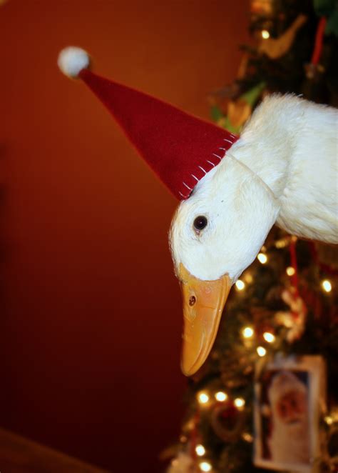 Lil Fish Studios A Christmas Goose