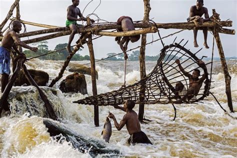 El Río Congo El Más Profundo Y Más Aterrador Del Mundo ¿por Qué