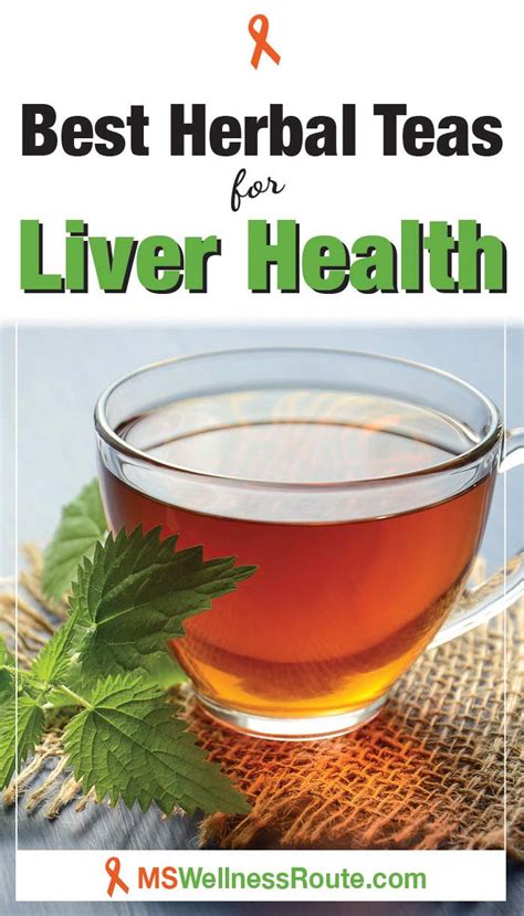 Best Herbal Teas For Liver Health Ms Wellness Route