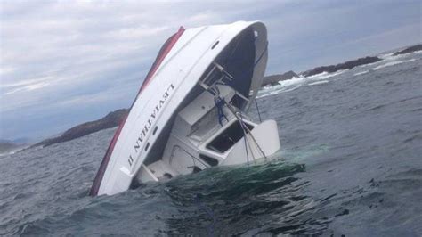 Canada Whale Watching Leviathan Ii Boat Sinking Kills Five Bbc News