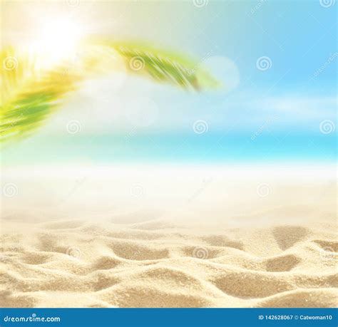 Sand With Palm And Tropical Beach Bokeh Background Summer Vacation And