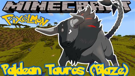 How To Find Paldean Tauros Blaze Breed In Pixelmon Reforged Minecraft Guide Youtube