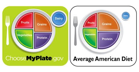 Include foods such as beans, lentils, nuts, seeds, lean choose protein foods that come from plants more often. Is the USDA's New Food Plate Pie in the Sky? - Health