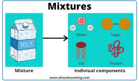 The Diagram Shows How Milk Is Made