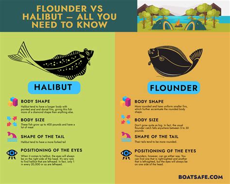 Flounder Vs Halibut All You Need To Know