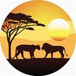 Safari African Lion Clipart Sunset Landscape Africa