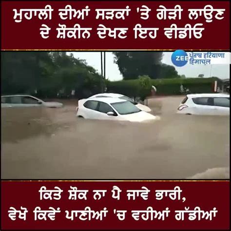 Mohali Weather Today Mohali Cars Floating In Rain Water Heavy Rainfall