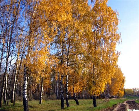 Beautiful Natural Scenery In Siberia 21 1280x1024 Wallpaper Download