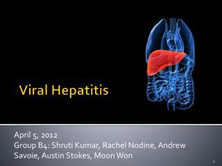 Ppt Viral Hepatitis Powerpoint Presentation Free Download Id