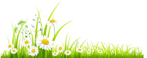 Spring Leaves Png Clipart Background Png Play