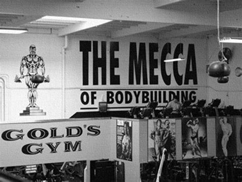 Gold's Gym Venice | Discover Los Angeles