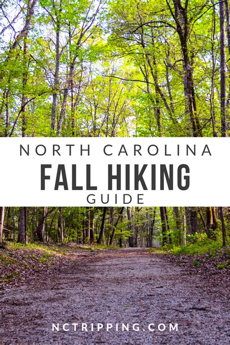 The 30 Best Trails For Hiking In North Carolina North Carolina