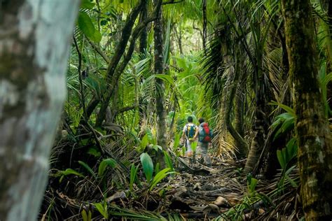 Best Costa Rica Rainforests For Tropical Vacation Tours
