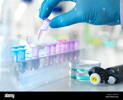 Laboratory Specimen High Resolution Stock Photography And Images Alamy
