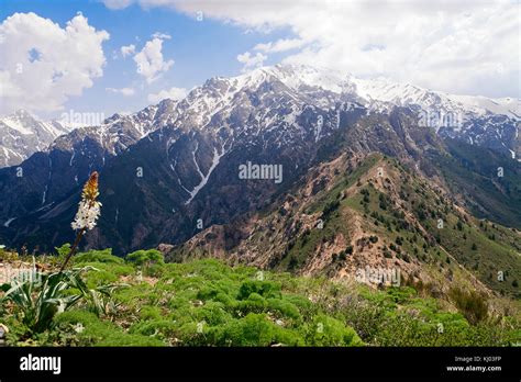 Chimgan Mountains Uzbekistan Stock Photo Alamy