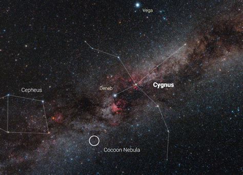 The Cocoon Nebula In Cygnus Astrophotography Facts And More