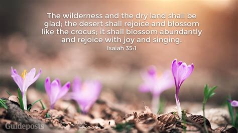 20 Bible Verses About Spring And New Life Guideposts