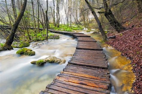 Croatia Plitvice Lakes National Park Wooden Walkway Over Stream