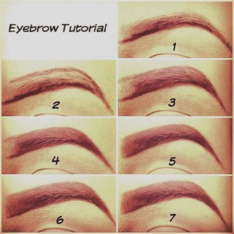 How To Fill In Your Eyebrows The Right Way Musely