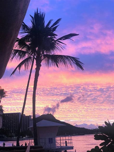 Waikiki Sunrise Photograph By Danielle Sturkie Fine Art America