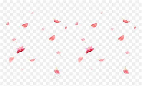 With tenor, maker of gif keyboard, add popular anime sakura tree animated gifs to your conversations. Falling Rose Petals Png Image - Cherry Blossom Falling Png ...