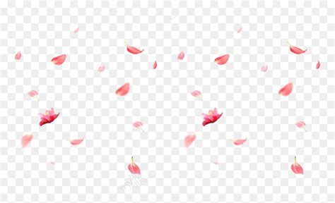 1920 x 1080 jpeg 169kb. Falling Rose Petals Png Image - Cherry Blossom Falling Png ...