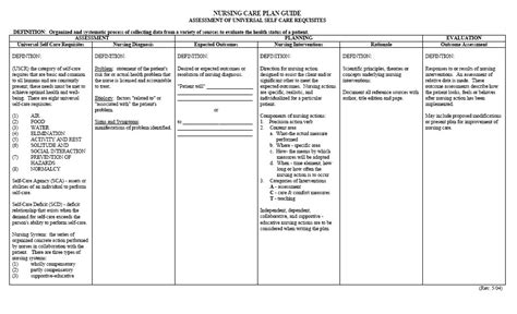 Nursing Care Plan Templates Blank Templates Example Templates Example