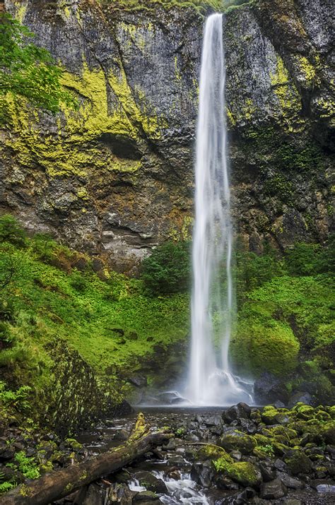 Elowah Falls And Creek Photograph By Loree Johnson Pixels