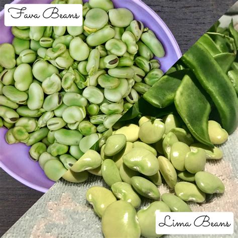 Fava Beans Vs Lima Beans Whats The Difference