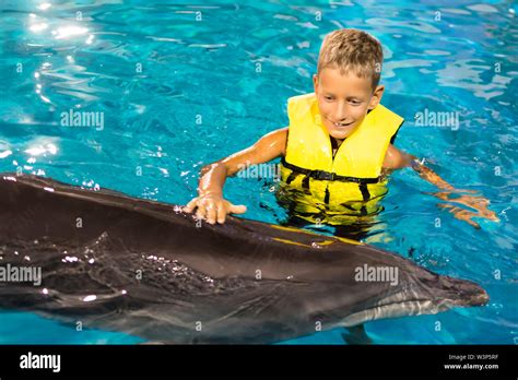 Happy Boy Swimming With Dolphins In The Blue Clear Water Stock Photo