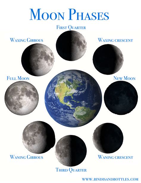 The Moon Phases And The Tutoring Of Vegetables