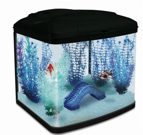Interpet Fish Pod Glass Aquarium Fish Tank L Amazon Co Uk Pet