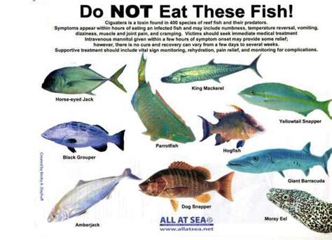 Multiple Sclerosis Ciguatera Fish Poisoning