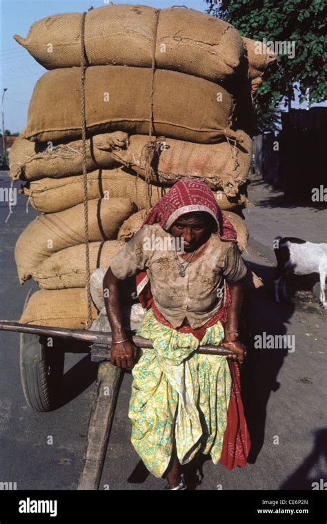 Woman Pulling Cart Street Scene Ahmadabad Gujarat India Stock