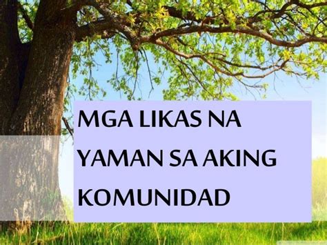 Likas Na Yaman Ng Bansang Pilipinas A Tribute To Joni Mitchell
