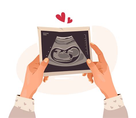 Hands Holding A Photo Of A Baby On Ultrasound Scan In The Womb