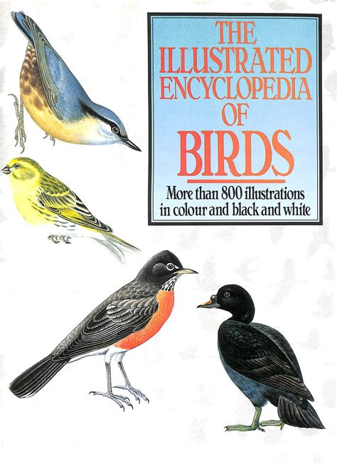 The Illustrated Encyclopaedia Of Birds By Unknown Goodreads