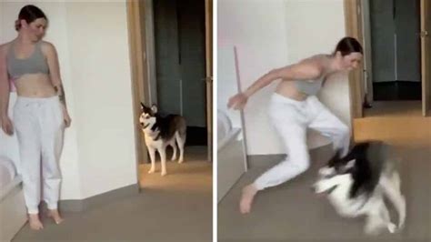 The Simple Joy Of This Woman Playing Hide And Seek With Her Dog Is So