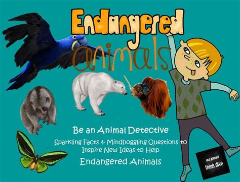 Stem Be An Endangered Animal Detective Identify And Solve Problems