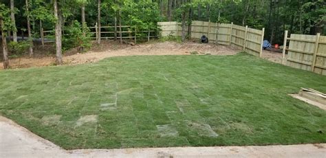 Laying sod in late summer or early fall if possible to avoid the summer heat and this will allow for plenty of time for your sod to become established before cooler weather sets in during the late fall. New Emerald Zoysia Sod Problems | LawnSite.com™ - Lawn ...