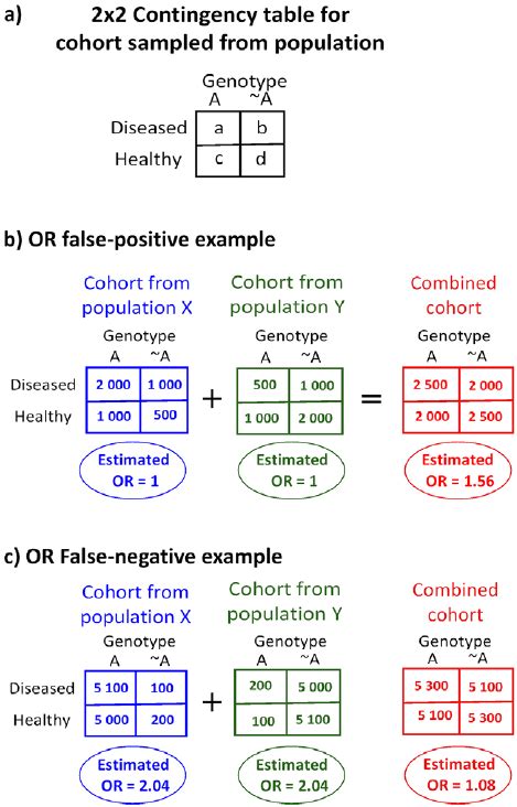 Odds Ratio Estimation Biases Introduced By Population Structure A