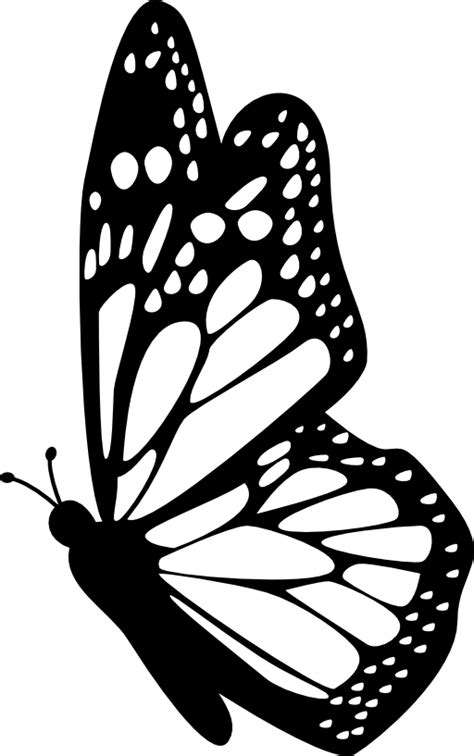 Butterfly Side View With Detailed Wings Free Vector Icons Designed By