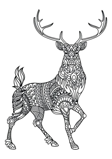 Difficult Animal Coloring Pages A Rabbit Coloring Pages Printablecom