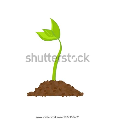 Simple Sprouting Seed Drawing Raster Illustration Stock Illustration
