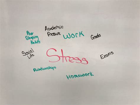 The stress response, also known as. Stress can have positive effects on students | The Trumpet ...