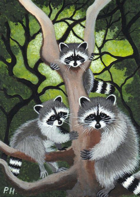 129 Best Phyllis Hartley Images On Pinterest Raccoons