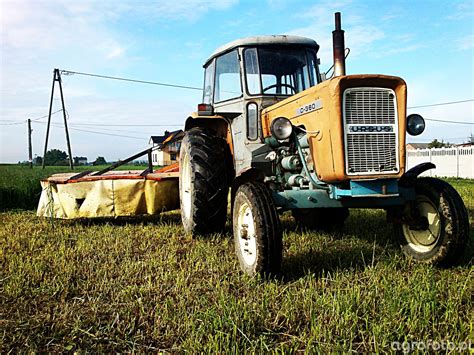 Zdjęcie Traktor Ursus C 355andz 077 Id504131 Galeria Rolnicza Agrofoto