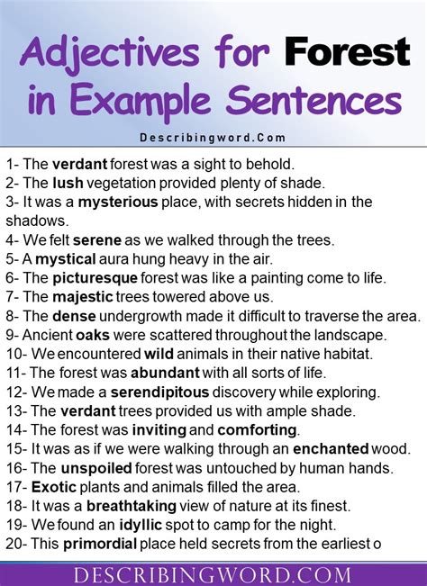 Adjectives For Forest Words To Describe A Forest Describingwordcom