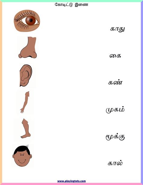 Tamil language (தமிழ்) parts of the. Pin on Tamil worksheets
